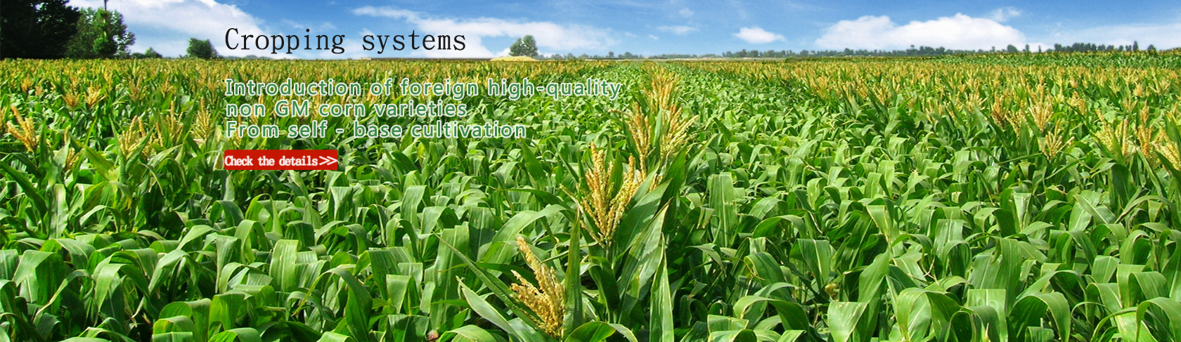 Planting   System